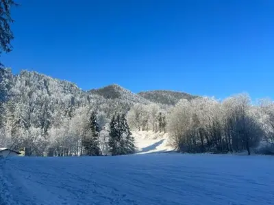 Ferienwohnung für 4 Personen (95 m²) in Kreuth 5/10