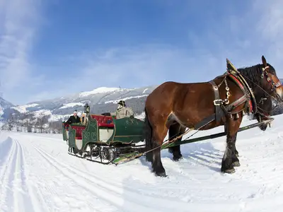 AreaWinter1KM