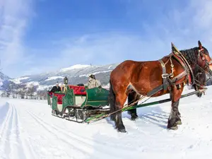 Ferienwohnung für 6 Personen (90 m²) in Krimml