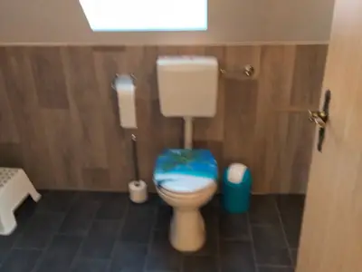 Ferienwohnung für 5 Personen (75 m²) in Kritzmow 9/10