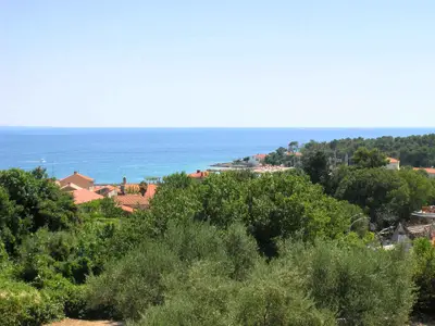 Ferienwohnung für 4 Personen (59 m²) in Krk 7/10