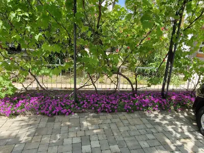 Ferienwohnung für 3 Personen (32 m²) in Krk 9/10