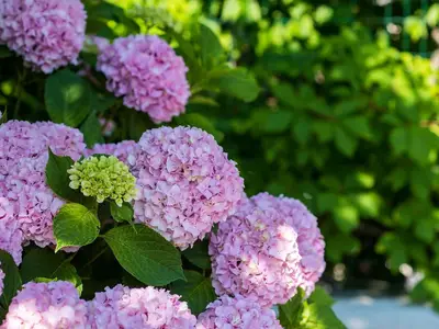 Ferienwohnung für 4 Personen (66 m²) in Krk 7/10