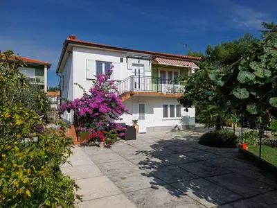 Ferienwohnung für 3 Personen (55 m²) in Krk 1/10