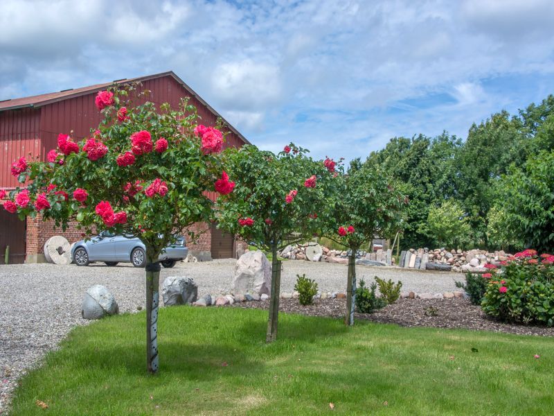 18713907-Ferienwohnung-4-Kronsgaard-800x600-1