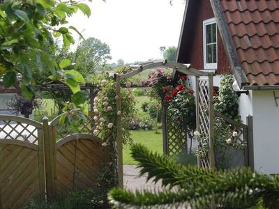 Ferienwohnung für 4 Personen (40 m²) in Kronsgaard 10/10