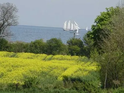 Ferienwohnung für 4 Personen (45 m²) in Kronsgaard 5/10