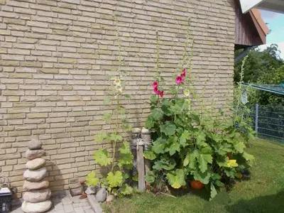 Ferienwohnung für 5 Personen (80 m²) in Kronsgaard 3/10
