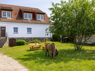 Ferienwohnung für 6 Personen (120 m²) in Kröpelin 1/10