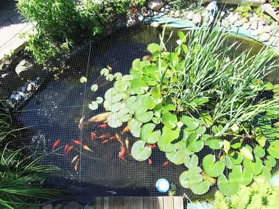 Garten