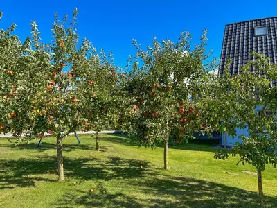 Ferienwohnung für 3 Personen (45 m²) in Kröslin 3/10