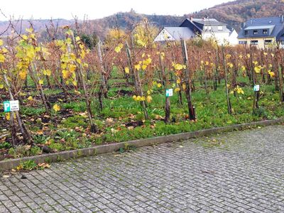 Parkplatz für jede Ferienwohnung