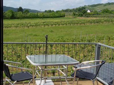 Balkon mit Ausblick in die Weinberge