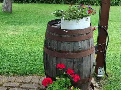 Garten