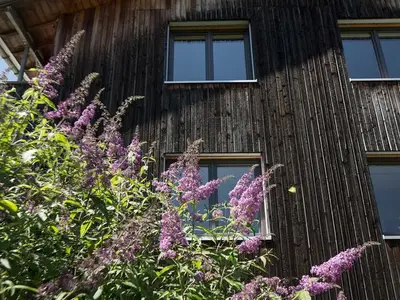 Ferienwohnung für 5 Personen (70 m²) in Krumbach 10/10