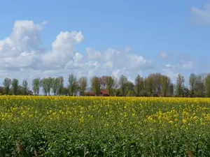 Ferienwohnung für 2 Personen (60 m²) in Krummhörn Uttum