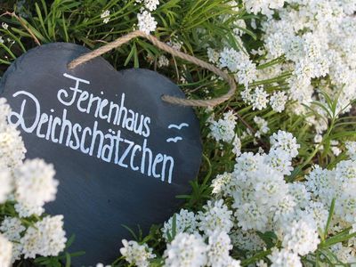 Ferienhaus Deichschätzchen