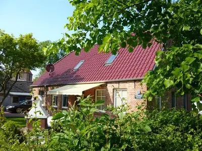 Bild 7