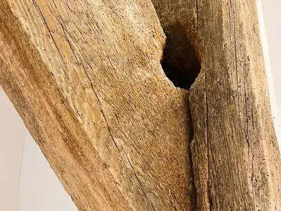 Ferienwohnung für 5 Personen (81 m²) in Krummhörn 9/10