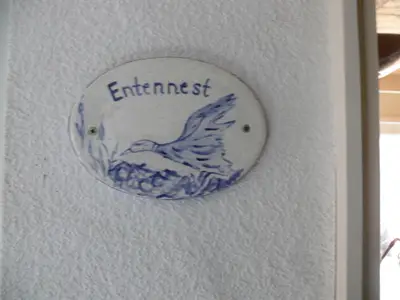 Entennest