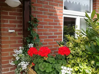 Ferienwohnung für 4 Personen (94 m²) in Krummhörn Pewsum 2/10