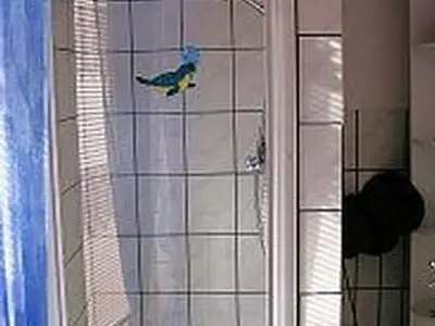 Oben, Badezimmer