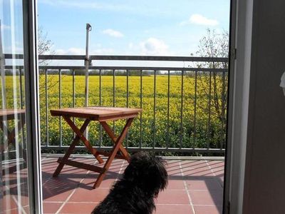 Blick über den Balkon im Frühling