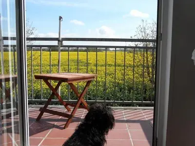 Blick über den Balkon im Frühling