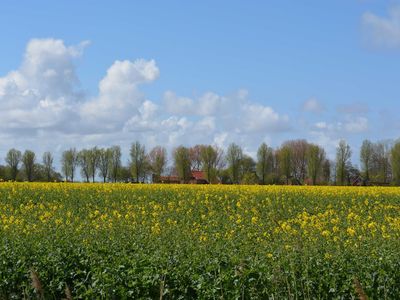 Blick auf den Hof