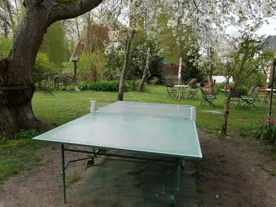 Ferienwohnung für 4 Personen (40 m²) in Krummin 5/10