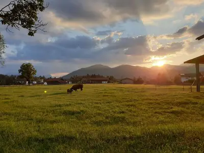 Ferienwohnung für 2 Personen (35 m²) in Krün 5/10