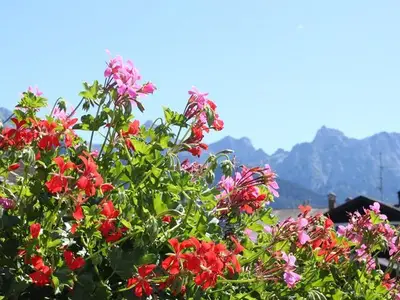 Ferienwohnung für 2 Personen (50 m²) in Krün 4/10