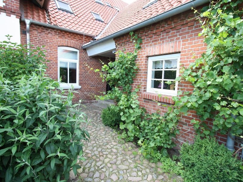 23054529-Ferienwohnung-15-Krusendorf (Amt Neuhaus)-800x600-0