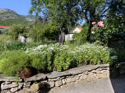 Ferienwohnung für 3 Personen in Kučište 6/10