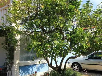 Ferienwohnung für 2 Personen in Kučište 5/10