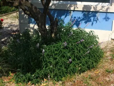 Ferienwohnung für 2 Personen in Kučište 7/10