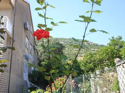 Ferienwohnung für 5 Personen in Kučište 5/10