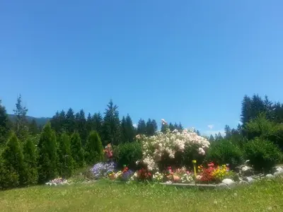 Ferienwohnung für 6 Personen (45 m²) in Tröpolach 10/10