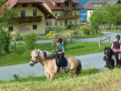Ferienwohnung für 4 Personen (58 m²) in Tröpolach 3/10