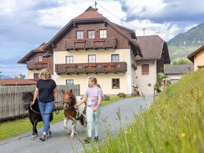 Ferienwohnung für 4 Personen (42 m²) in Tröpolach 1/10
