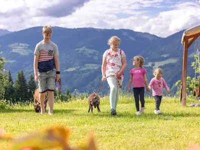 Ferienwohnung für 4 Personen (42 m²) in Tröpolach 10/10