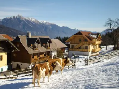 Ferienwohnung für 5 Personen (68 m²) in Tröpolach 9/10