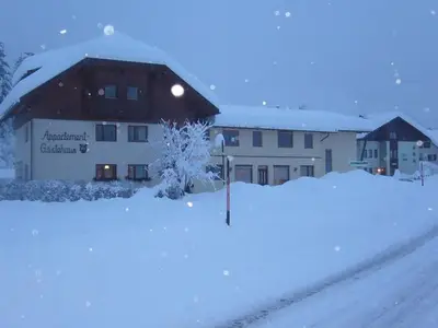 Ferienwohnung für 4 Personen (40 m²) in Tröpolach 4/10