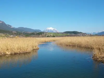 Ferienwohnung für 4 Personen (40 m²) in Tröpolach 7/10