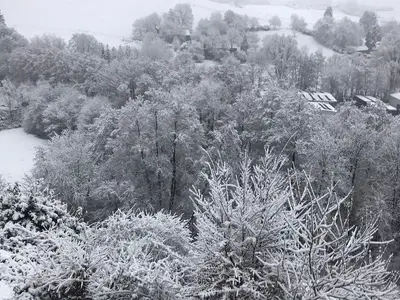 Ferienwohnung für 3 Personen (54 m²) in Kürten 4/10