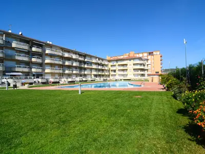 ViewSummer
