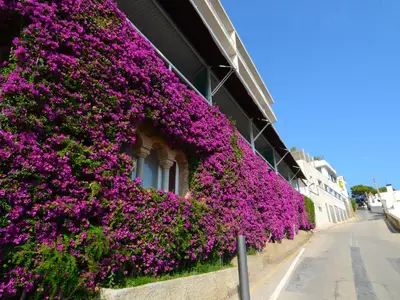 ExteriorSummer