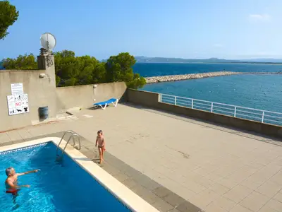 ViewSummer