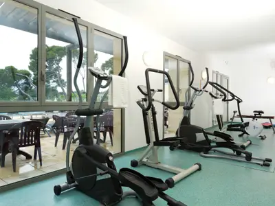 fitness fitness