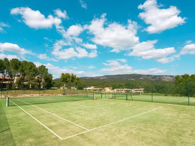 tennis tennis